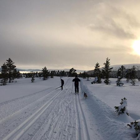 Hytta Pa Oyfjell Villa Dış mekan fotoğraf