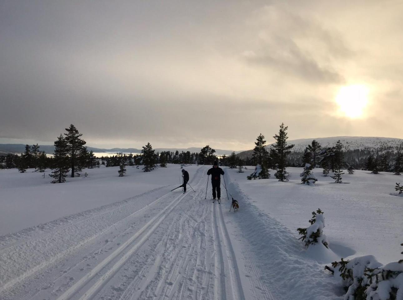 Hytta Pa Oyfjell Villa Dış mekan fotoğraf