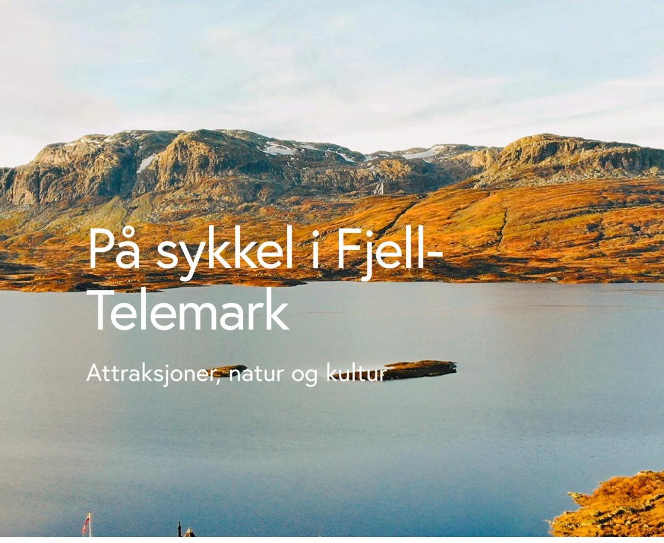 Hytta Pa Oyfjell Villa Dış mekan fotoğraf